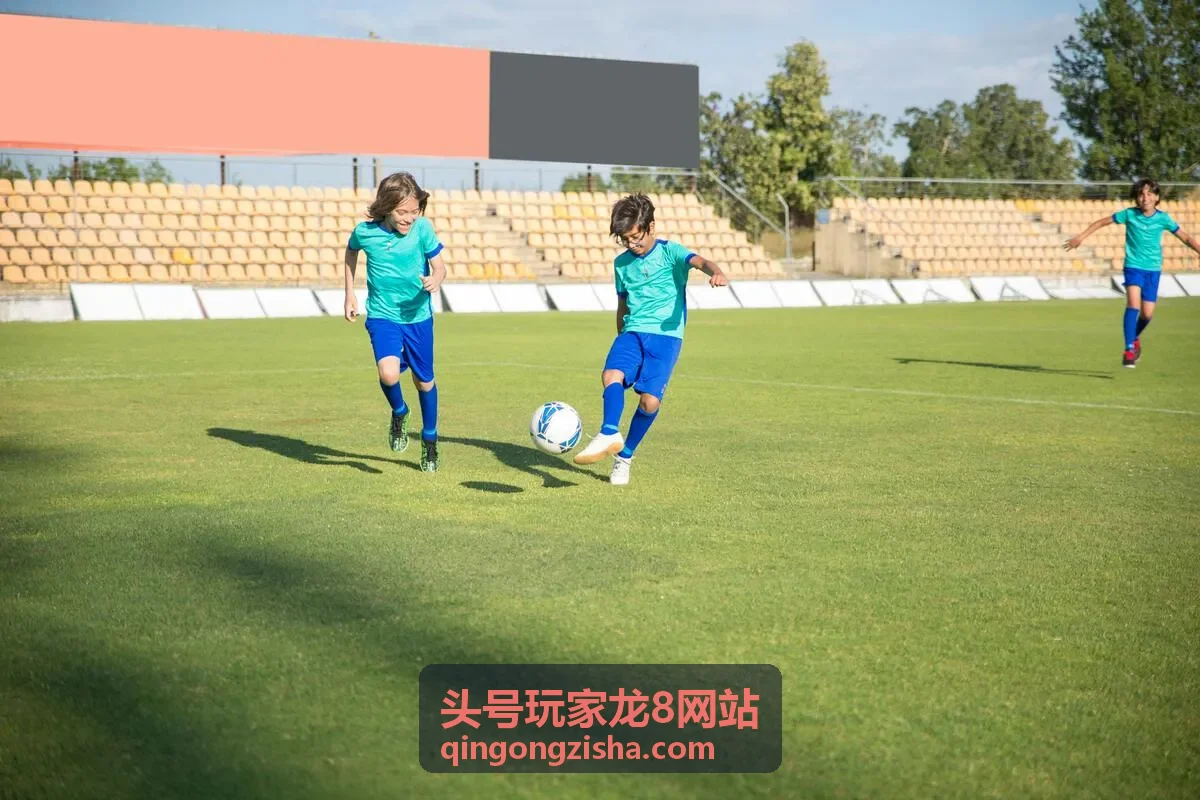 头号玩家龙8春季赛总决赛热度封面