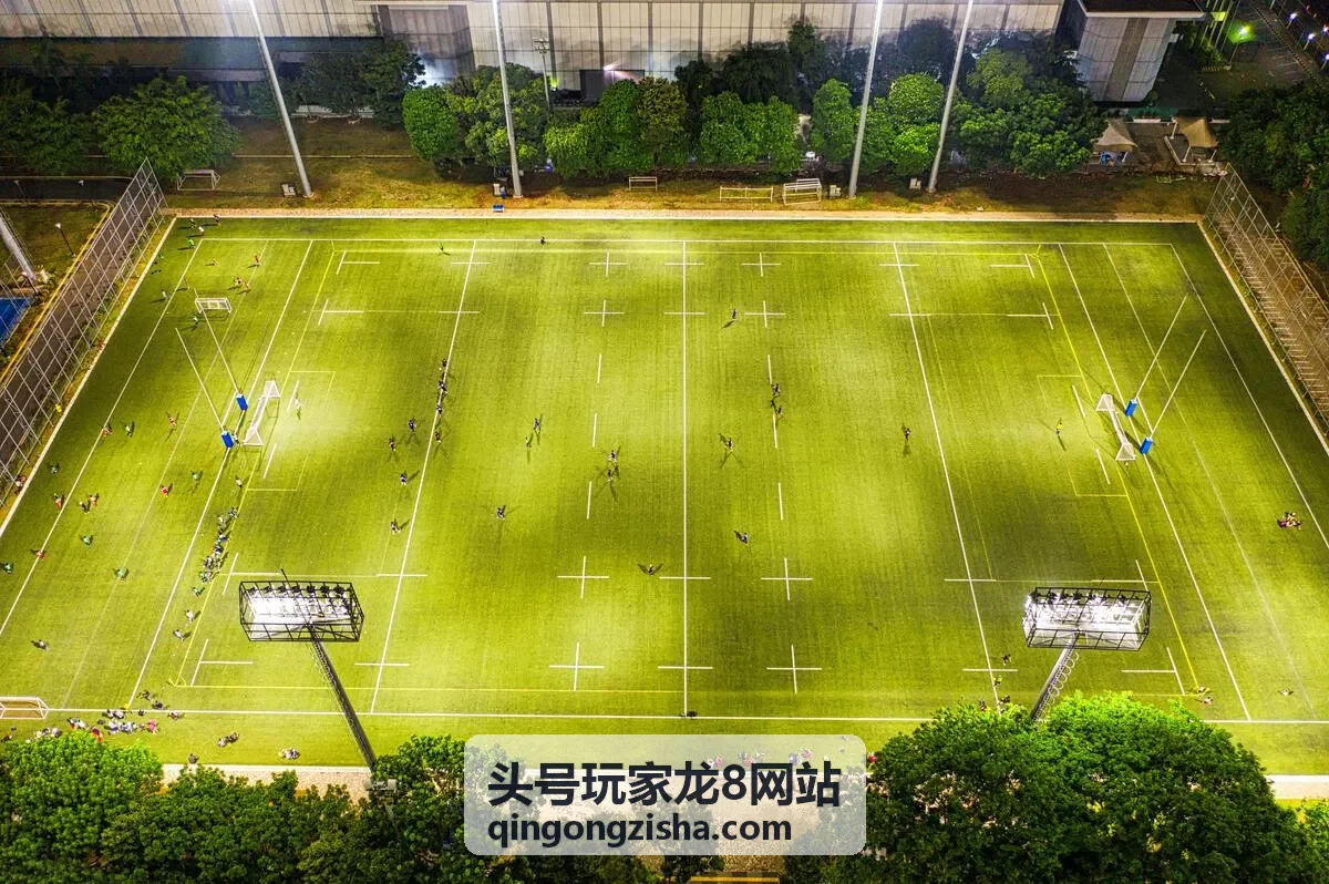 头号玩家龙8全明星邀请赛热度封面