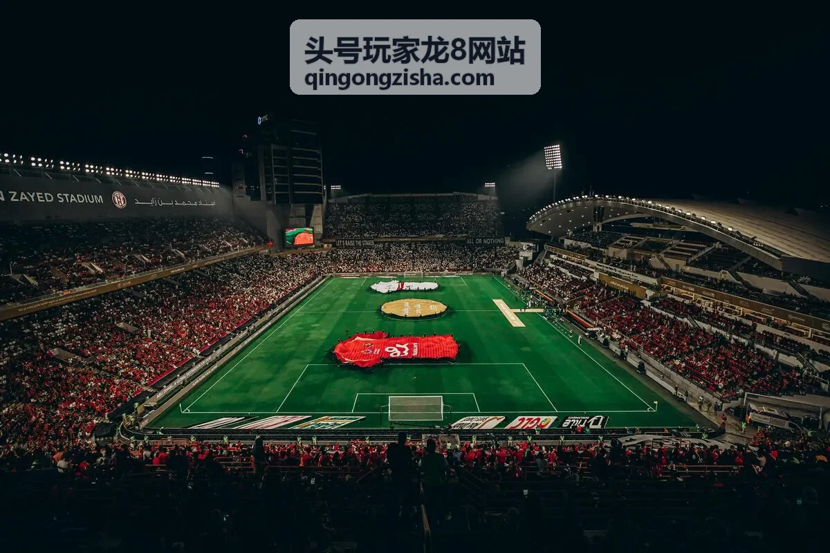 头号玩家龙8新版本竞技杯热度封面